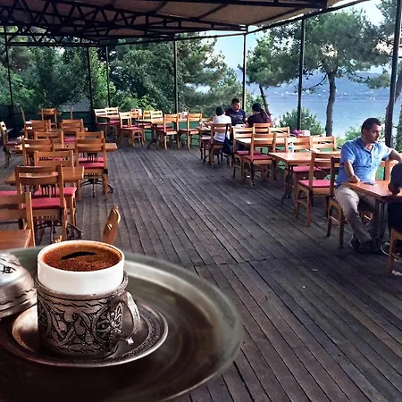 Sakarya Il Ormani Tabiat Parki Bungalow - Halal Lodge Sakarya (Marmara)